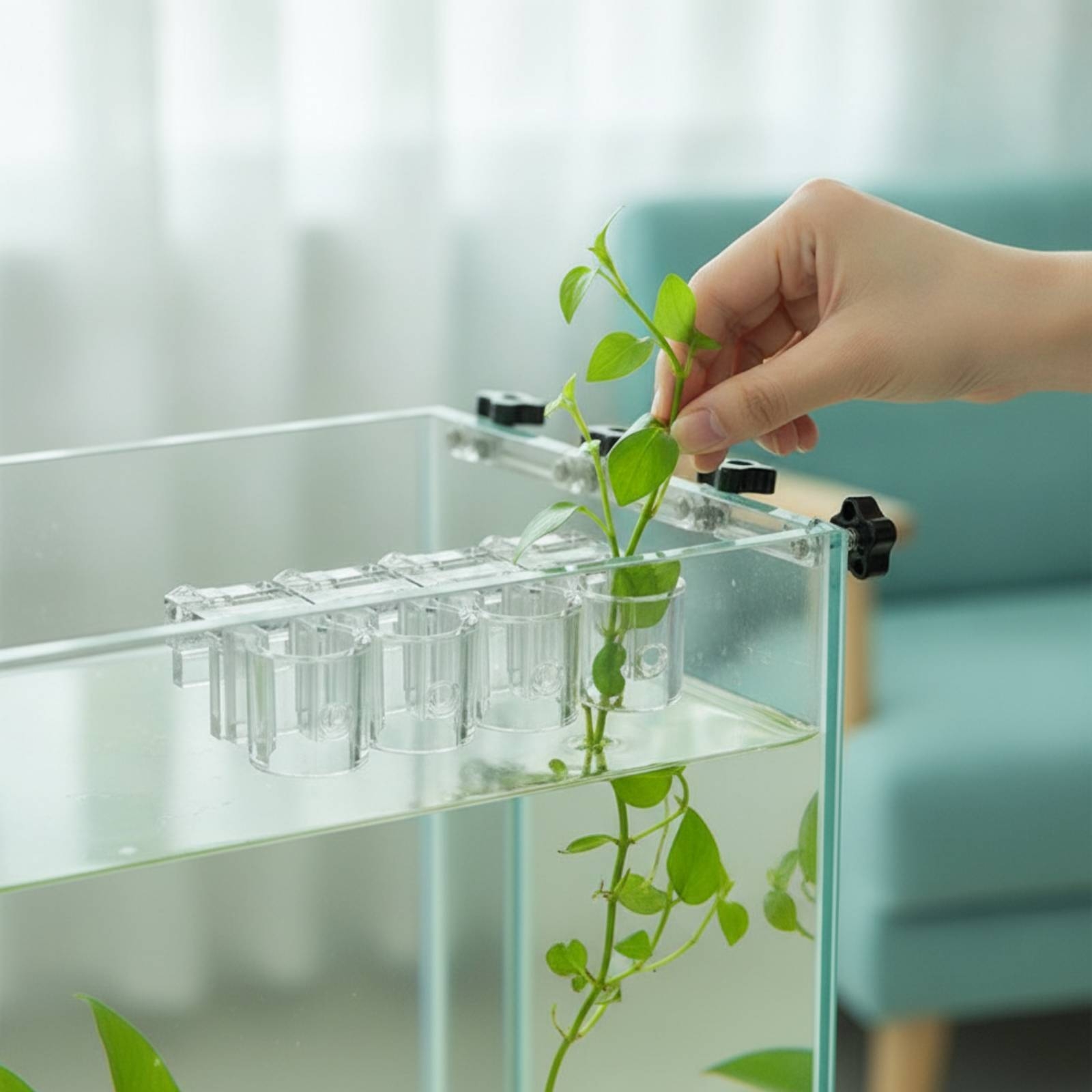 6 Pieces Aquarium Planter Clea - Aquarium Planted Plants recension och pris
