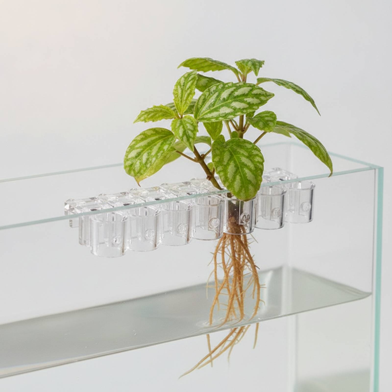 6 Pieces Aquarium Planter Clea - Aquarium Planted Plants recension och pris