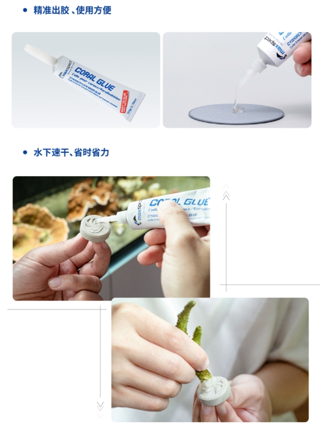 Aquarium Instant Coral Glue 20 - Aquarium Plant Glue Gel recension och pris