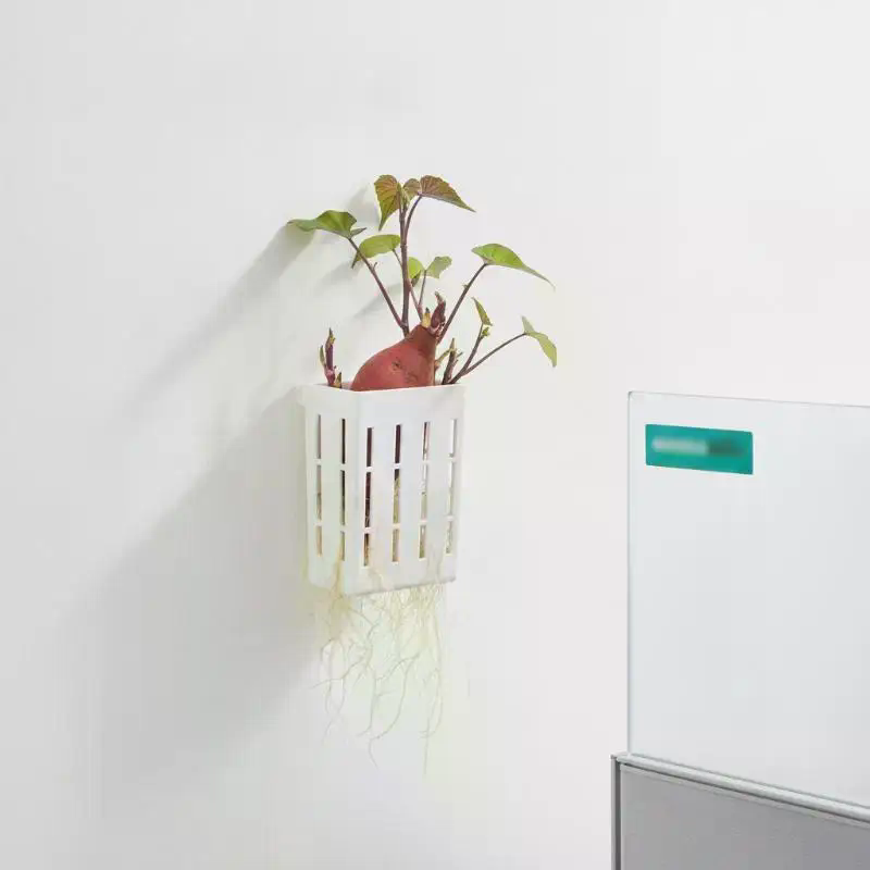 1Pcs Hydroponic Support Basket - Aquarium Planted Plants recension och pris