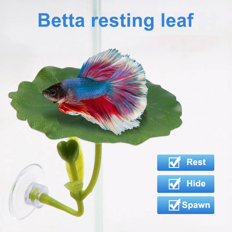 Green Leaf Hammock For Betta F - Planted Aquarium Betta recension och pris