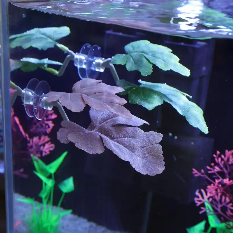 Betta Fish Leaf Hammock Aquari - Planted Aquarium Betta recension och pris