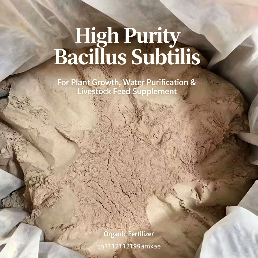 High Activity Bacillus Subtili - Aquarium Plant Roots recension och pris