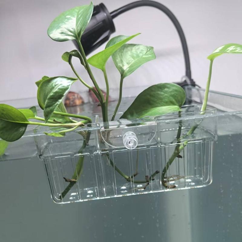 Hydroponic Plant Basket Food G - Aquarium Planted Plants recension och pris