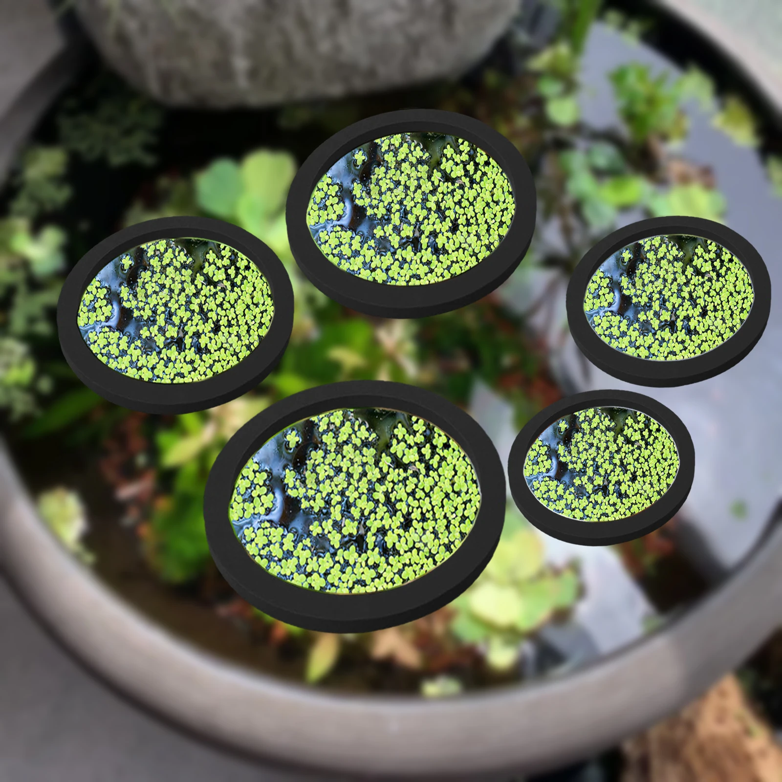 5Pcs EVA Fish Feeding Ring Aqu - Aquarium Planted Plants recension och pris