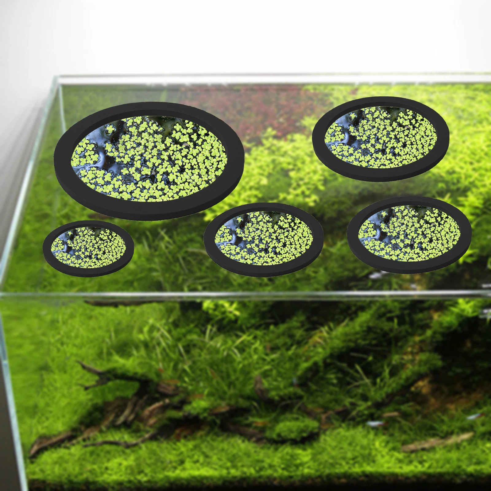 5Pcs EVA Fish Feeding Ring Aqu - Aquarium Planted Plants recension och pris