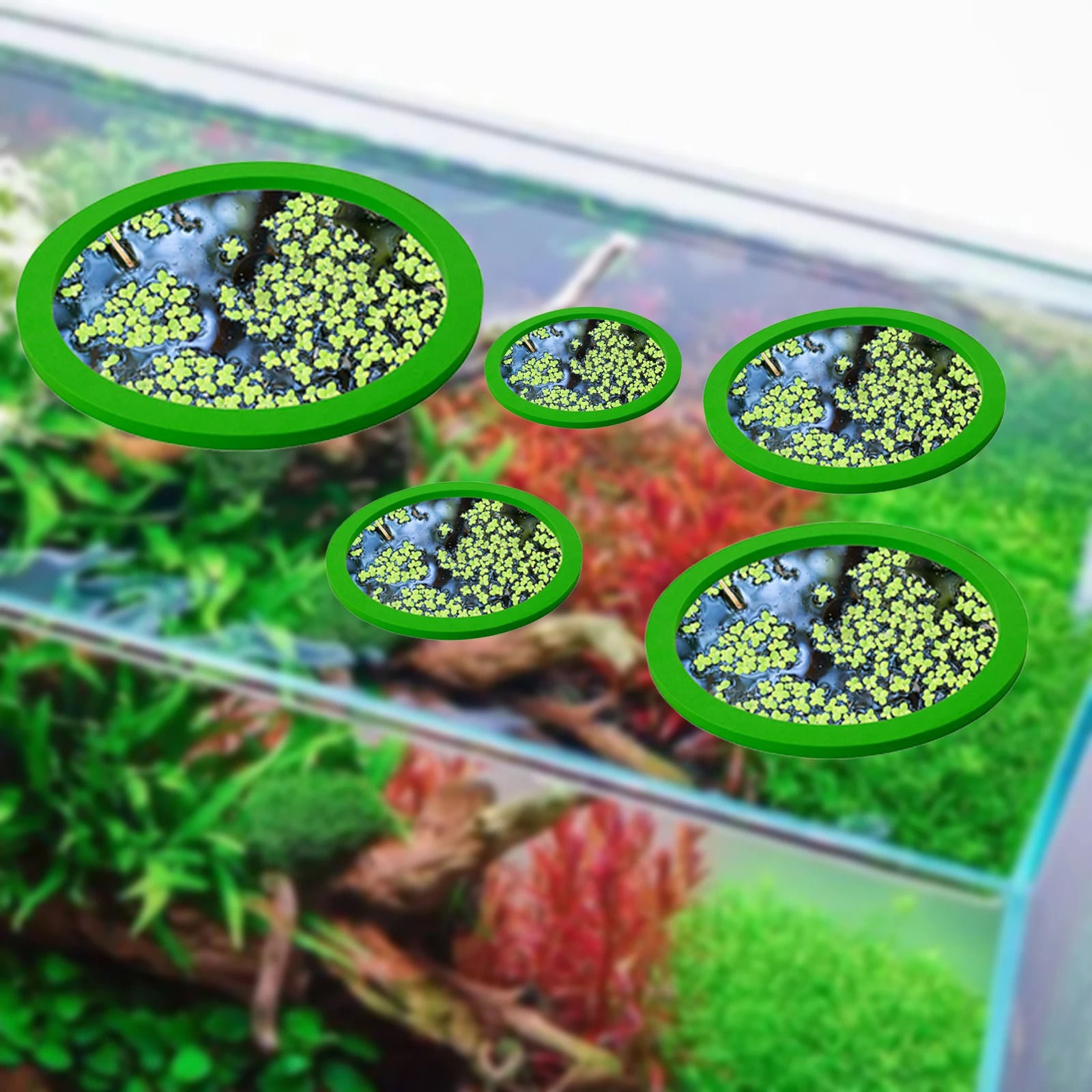 5Pcs EVA Fish Feeding Ring Aqu - Aquarium Planted Plants recension och pris