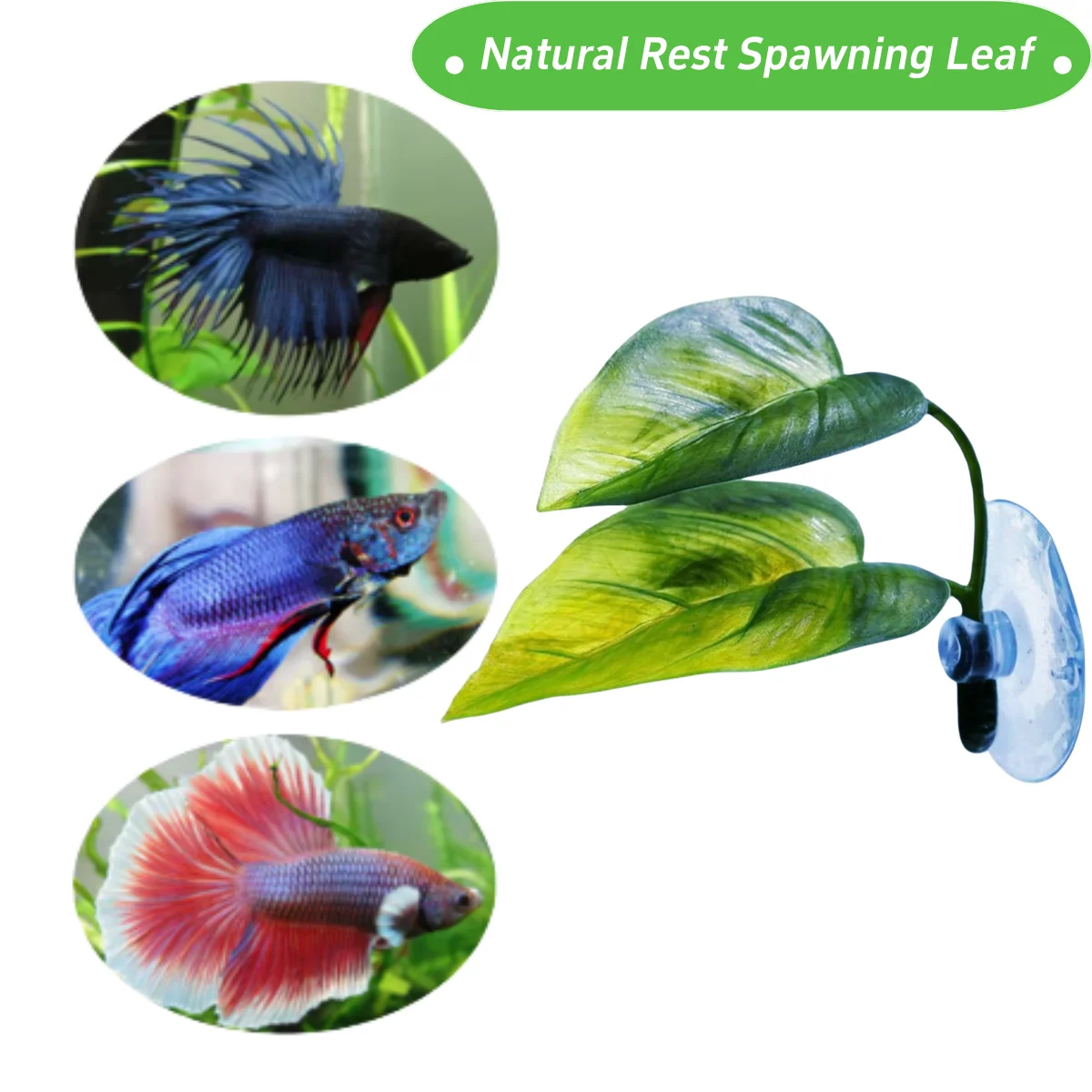 Pets Fish Tank Decor Betta Rel - Planted Aquarium Betta recension och pris