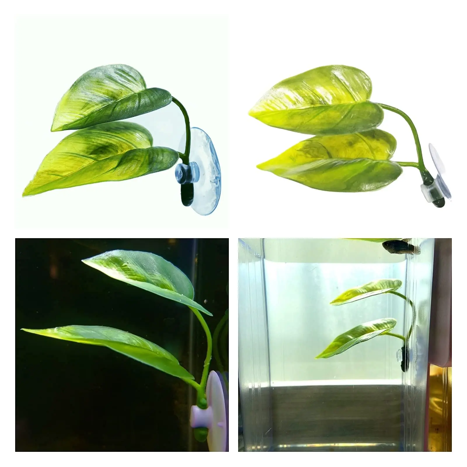 Pets Fish Tank Decor Betta Rel - Planted Aquarium Betta recension och pris