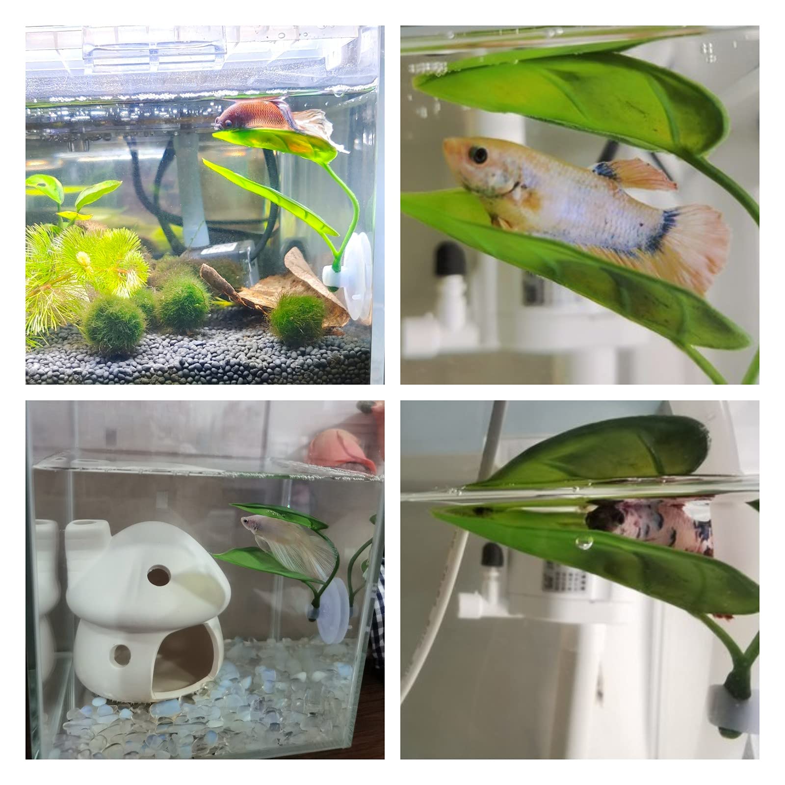 Pets Fish Tank Decor Betta Rel - Planted Aquarium Betta recension och pris