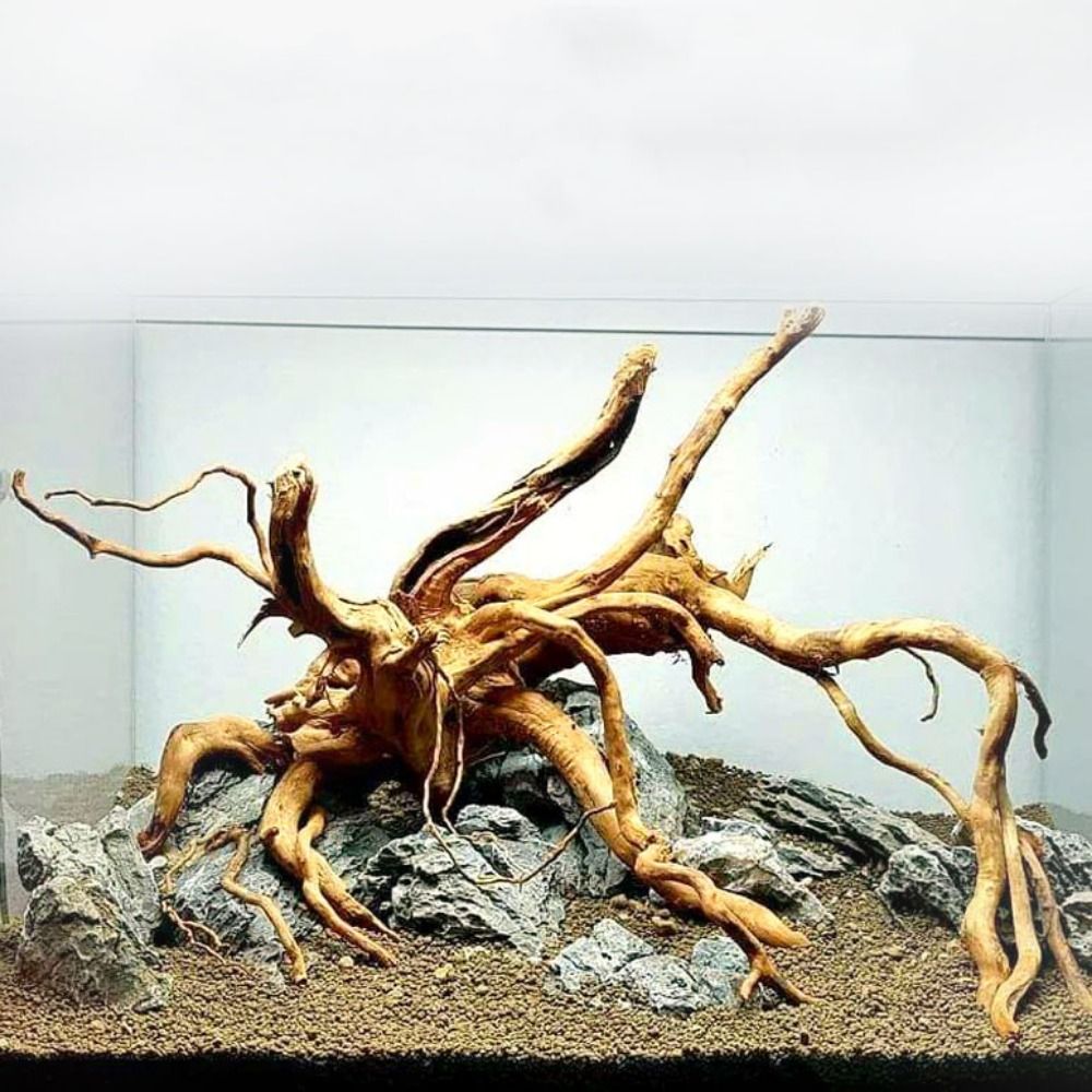 20-25CM Large Aquarium Driftwo - Aquarium Planted Wood recension och pris