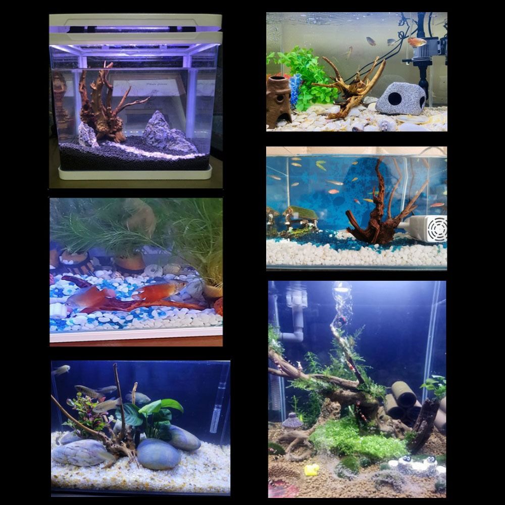 20-25CM Large Aquarium Driftwo - Aquarium Planted Wood recension och pris