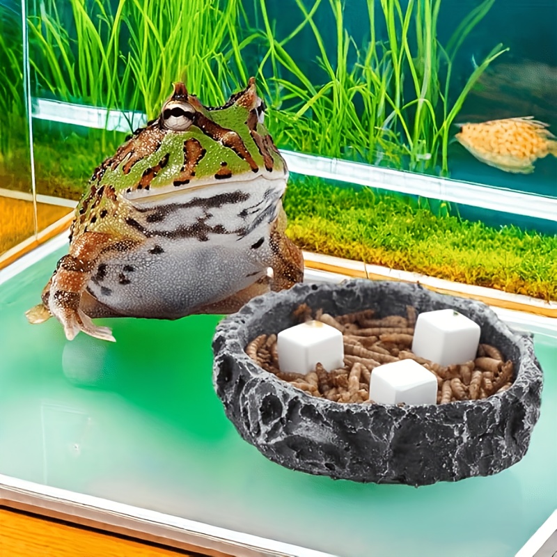 6 Pcs Fish Tank Calcium Block  - Aquarium Plant Roots recension och pris