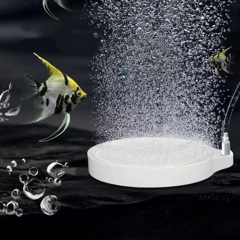 Nano Disc Air Stone Oxygen Aer - Planted Aquarium Accessories recension och pris